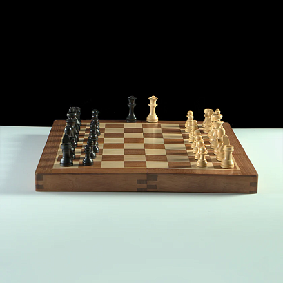 Set de șah de călătorie World Chess